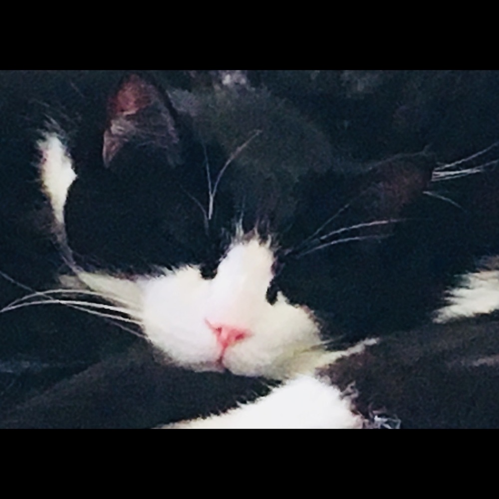 Meet your Posher, Christina